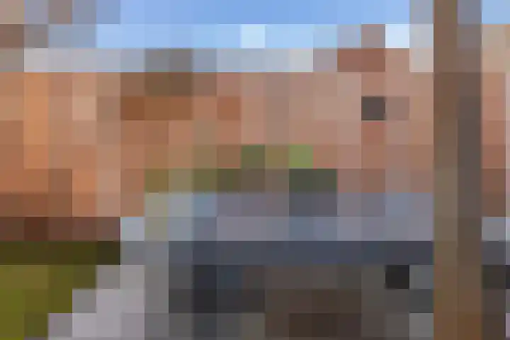 Jacob Matijsen Osterlinghstraat 17 Edam thumbnail 29