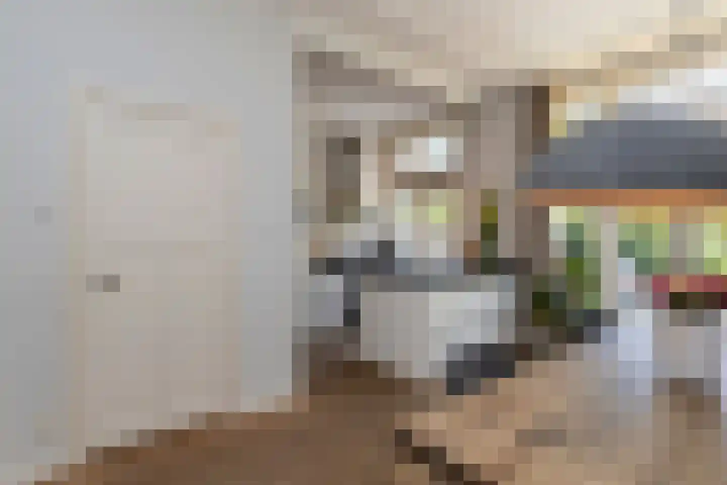 Jacob Mosselstraat 85 Den Haag thumbnail 20