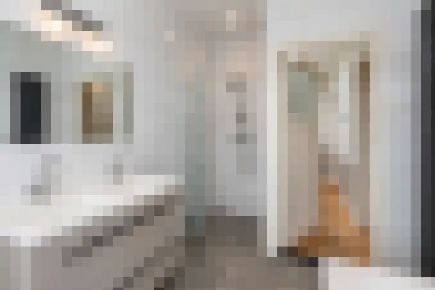 Jacob Mosselstraat 85 Den Haag thumbnail 39