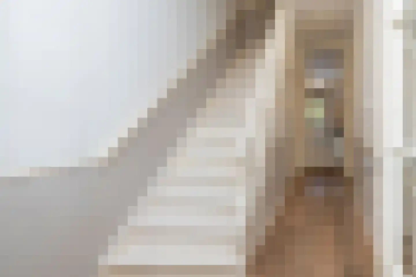 Jacob Mosselstraat 85 Den Haag thumbnail 6