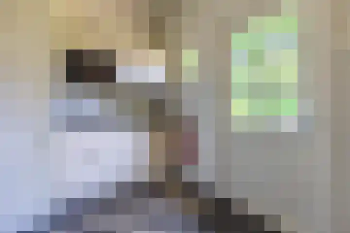 Jacob Obrechtlaan 2 Bussum thumbnail 21