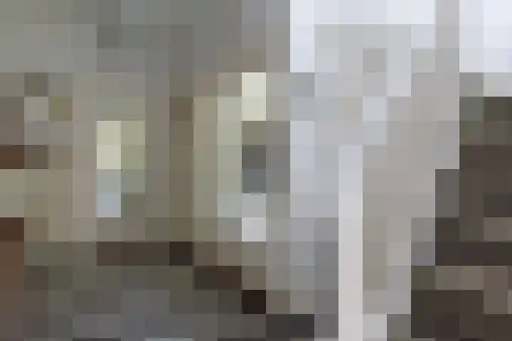 Jacob Obrechtlaan 2 Bussum thumbnail 23