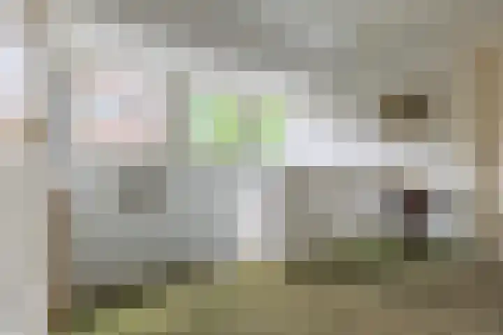 Jacob Obrechtlaan 2 Bussum thumbnail 24