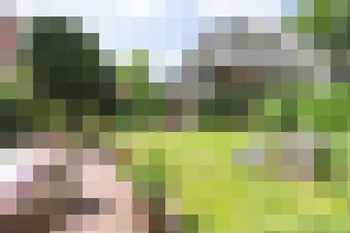 Jacob Obrechtlaan 2 Bussum thumbnail 42
