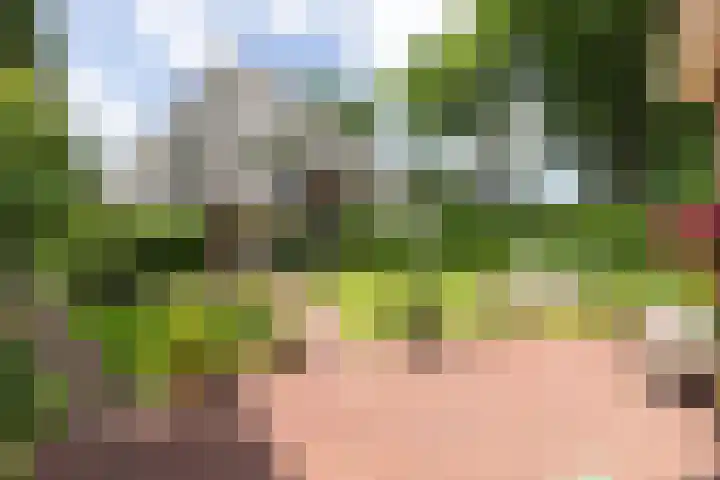 Jacob Obrechtlaan 2 Bussum thumbnail 43