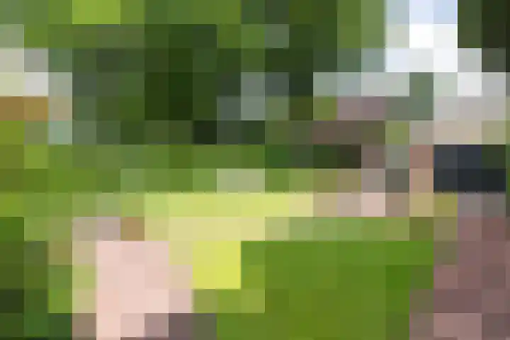 Jacob Obrechtlaan 2 Bussum thumbnail 44