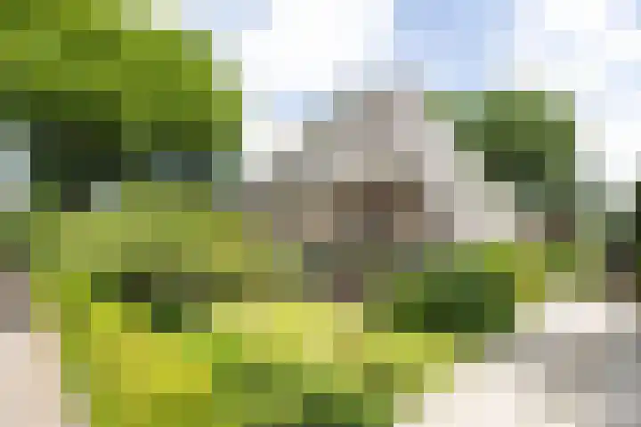 Jacob Obrechtlaan 2 Bussum thumbnail 46