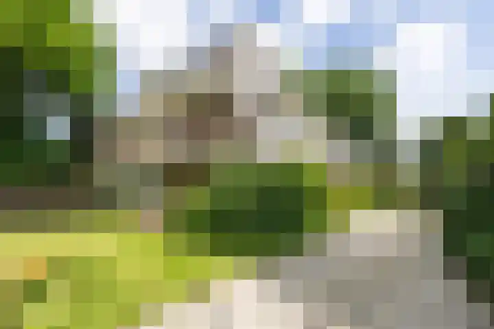 Jacob Obrechtlaan 2 Bussum thumbnail 47