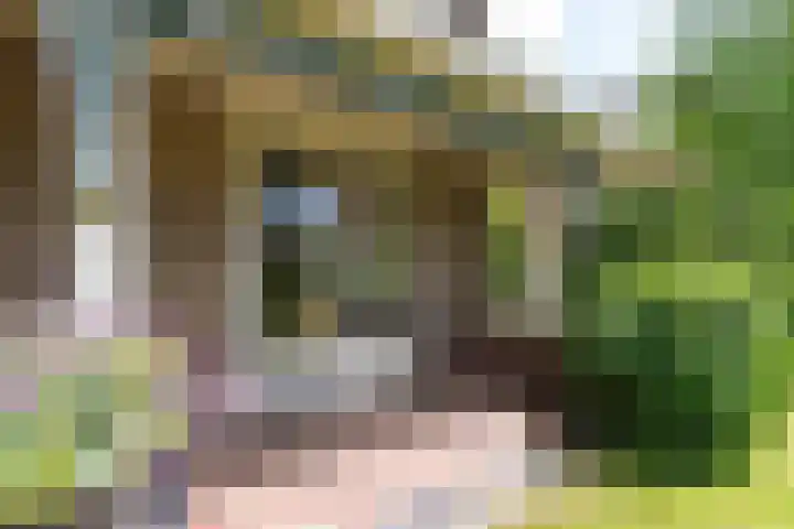 Jacob Obrechtlaan 2 Bussum thumbnail 53