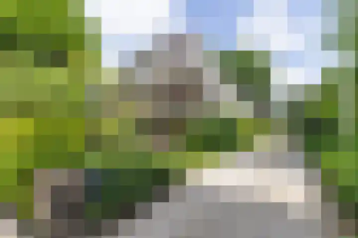 Jacob Obrechtlaan 2 Bussum thumbnail 62