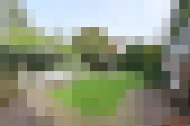 Jacob Obrechtlaan 20 Bussum thumbnail 26