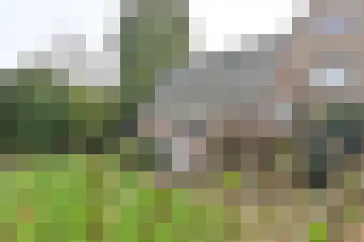 Jacob Obrechtlaan 20 Bussum thumbnail 27