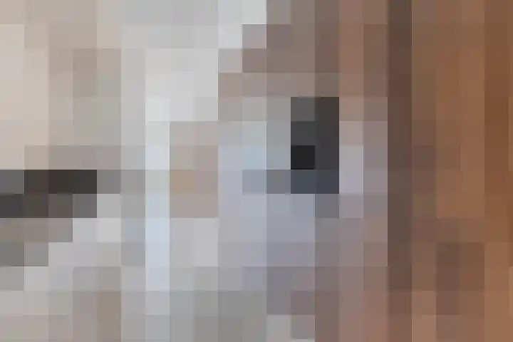 Jacob Obrechtlaan 29 Hoofddorp thumbnail 10