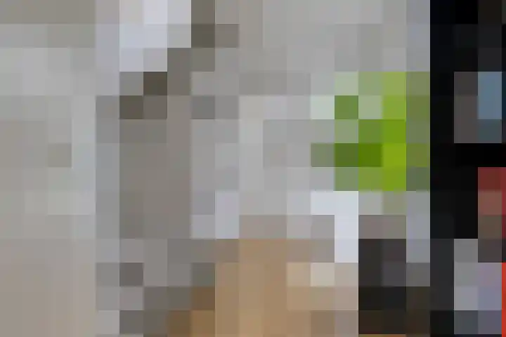Jacob Obrechtlaan 29 Hoofddorp thumbnail 23