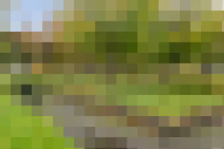 Jacob Obrechtlaan 29 Hoofddorp thumbnail 30