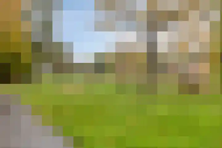 Jacob Obrechtlaan 29 Hoofddorp thumbnail 31
