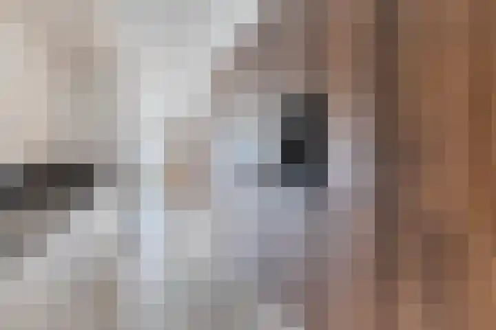 Jacob Obrechtlaan 29 Hoofddorp thumbnail 4
