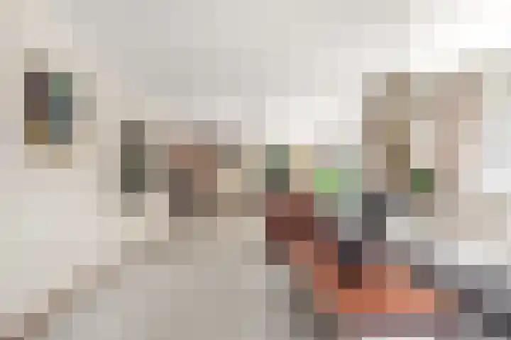 Jacob Obrechtlaan 36 Hoofddorp thumbnail 16