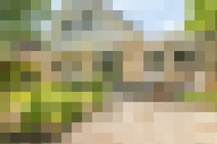 Jacob Obrechtlaan 36 Hoofddorp thumbnail 43