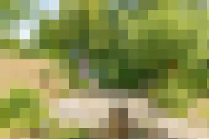 Jacob Obrechtlaan 36 Hoofddorp thumbnail 44