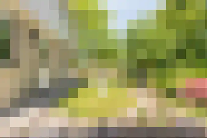 Jacob Obrechtlaan 36 Hoofddorp thumbnail 45