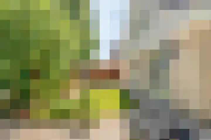 Jacob Obrechtlaan 36 Hoofddorp thumbnail 46
