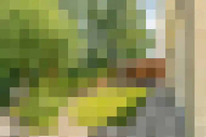 Jacob Obrechtlaan 36 Hoofddorp thumbnail 47