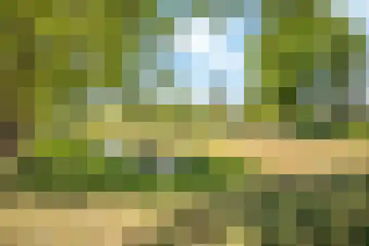 Jacob Obrechtlaan 36 Hoofddorp thumbnail 51