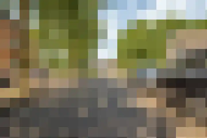 Jacob Obrechtlaan 36 Hoofddorp thumbnail 53