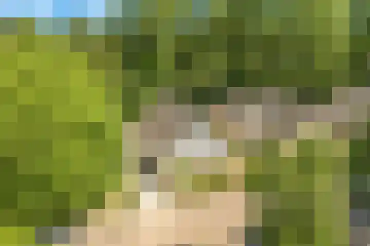 Jacob Obrechtlaan 36 Hoofddorp thumbnail 7