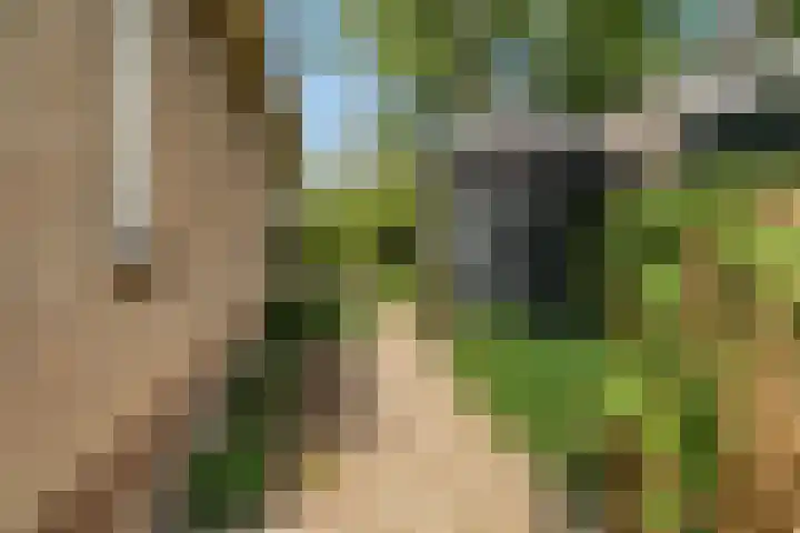 Jacob Obrechtlaan 42 Hoofddorp thumbnail 27