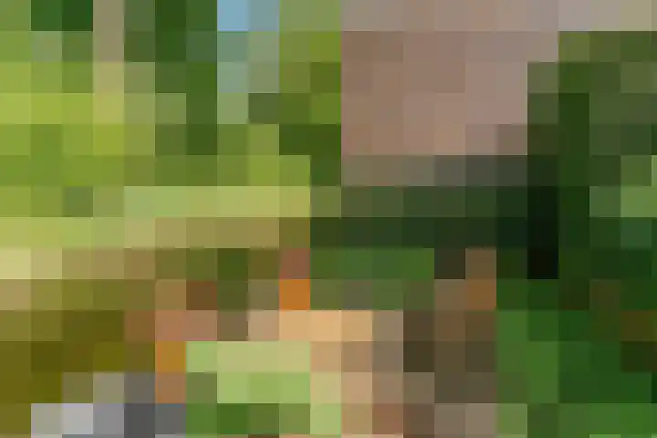 Jacob Obrechtlaan 42 Hoofddorp thumbnail 33