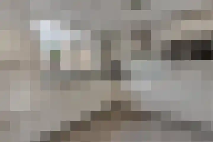 Jacob Obrechtpark 19 Waalwijk thumbnail 4