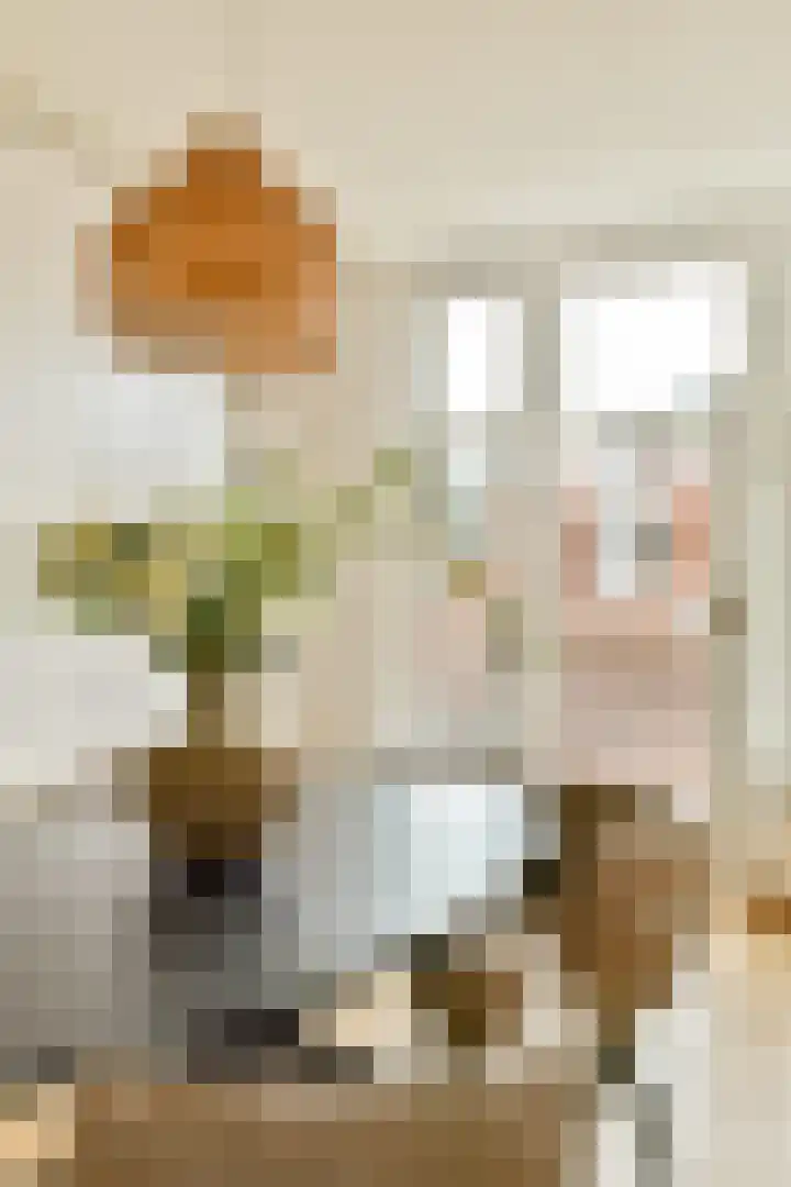 Jacob Obrechtstraat 1 2 Amsterdam thumbnail 13