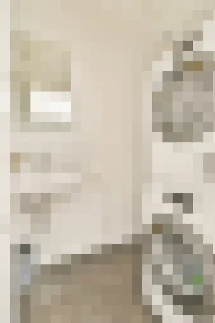 Jacob Obrechtstraat 1 2 Amsterdam thumbnail 32