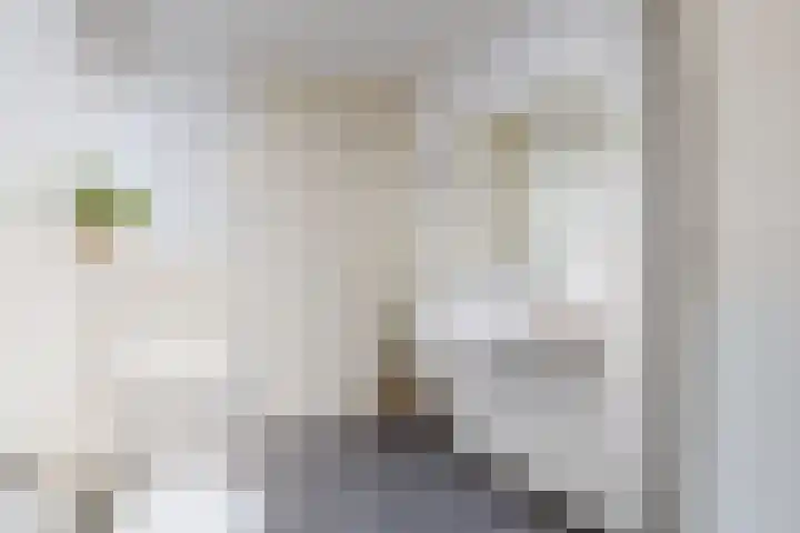 Jacob Obrechtstraat 16 A Amsterdam thumbnail 31