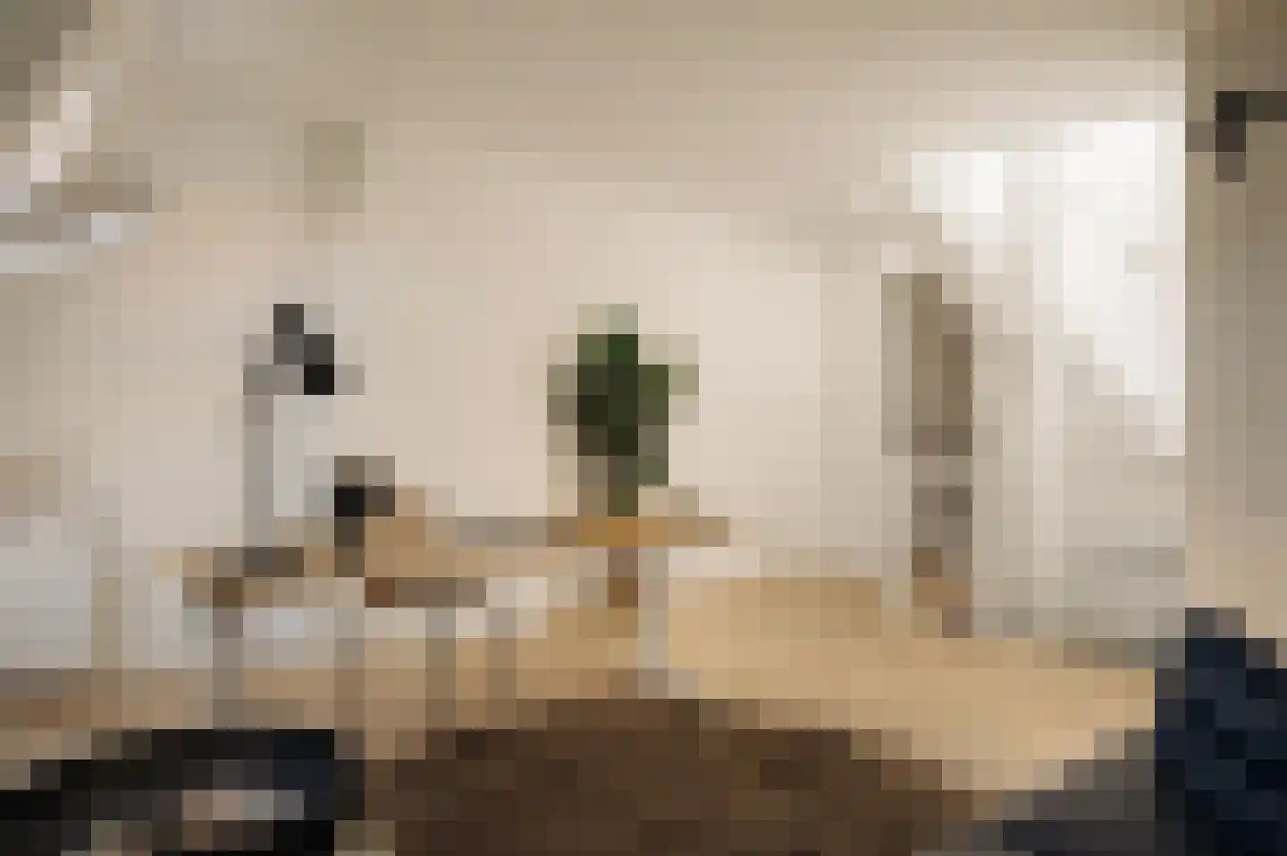 Jacob Obrechtstraat 18 2 Amsterdam thumbnail 29