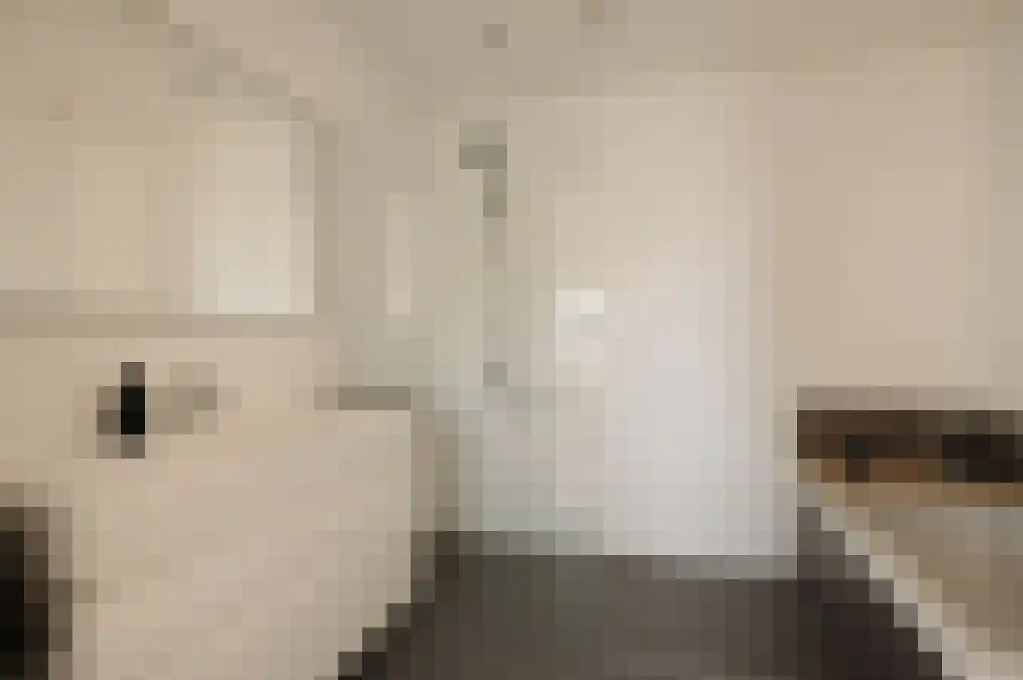 Jacob Obrechtstraat 18 2 Amsterdam thumbnail 30