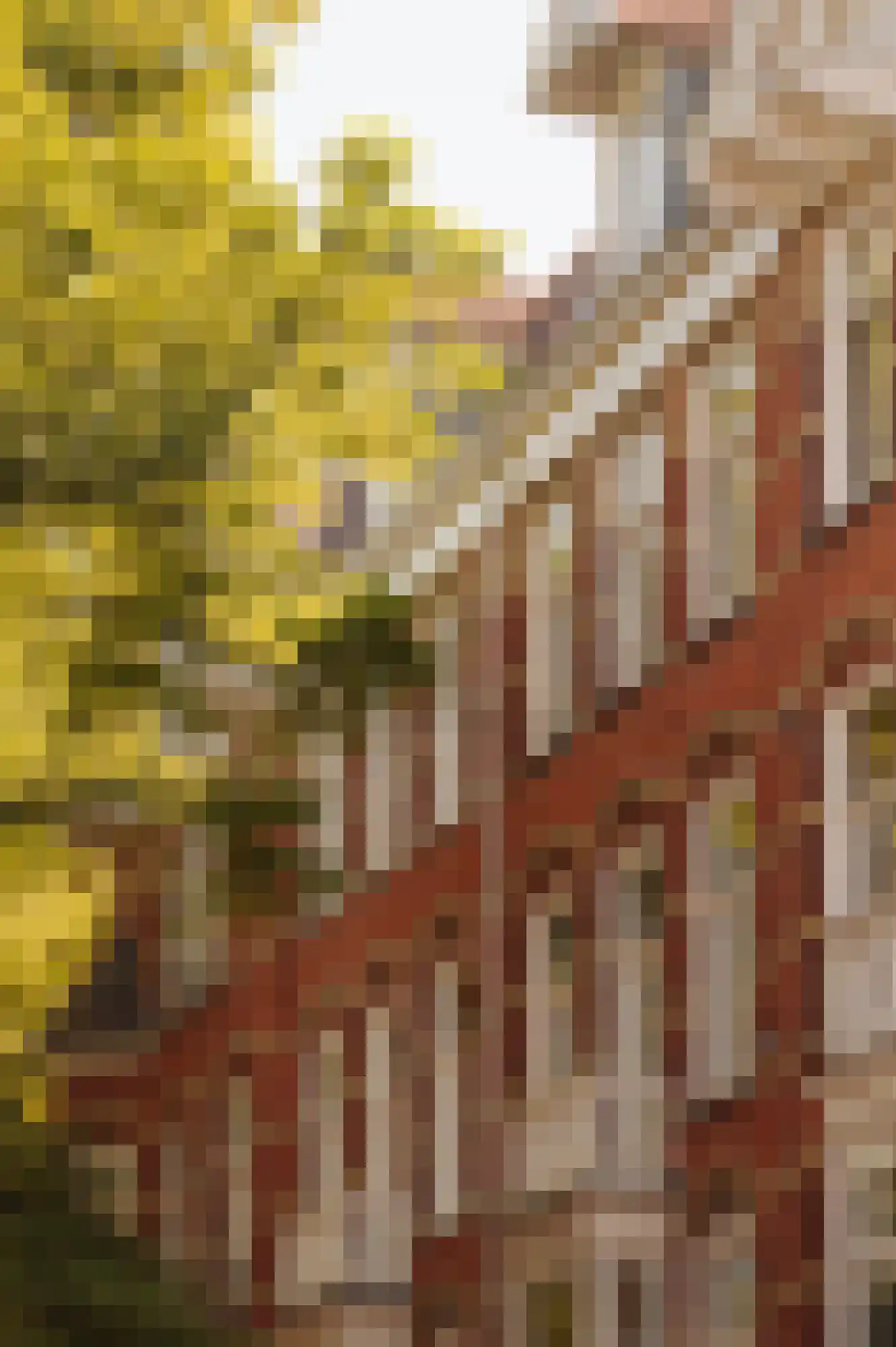 Jacob Obrechtstraat 18 2 Amsterdam thumbnail 7