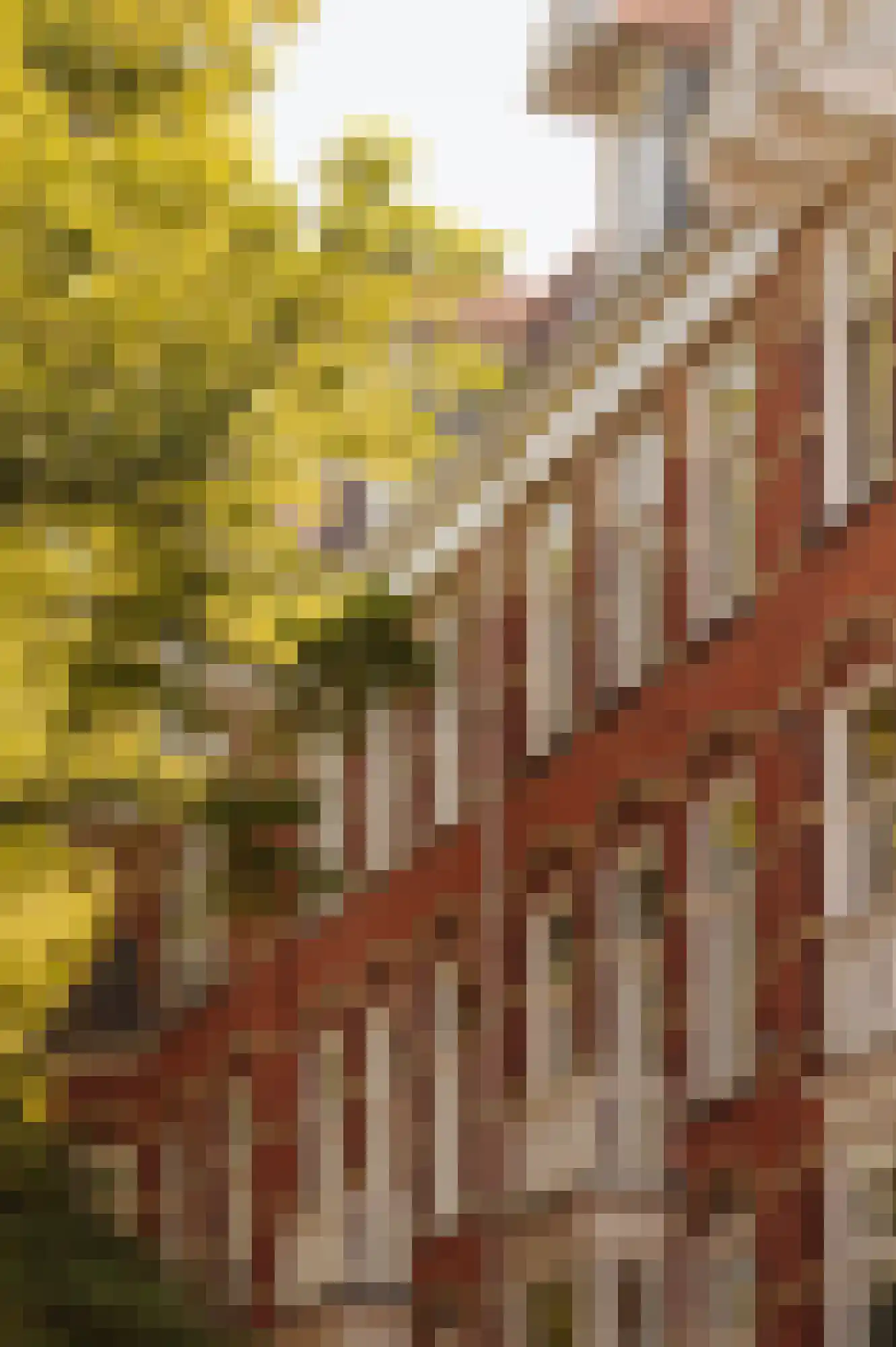 Jacob Obrechtstraat 18 2 Amsterdam thumbnail 9