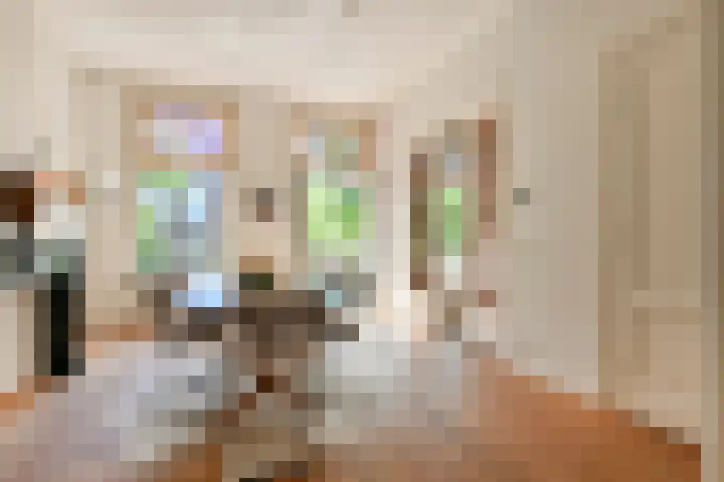 Jacob Obrechtstraat 21 2 Amsterdam thumbnail 12