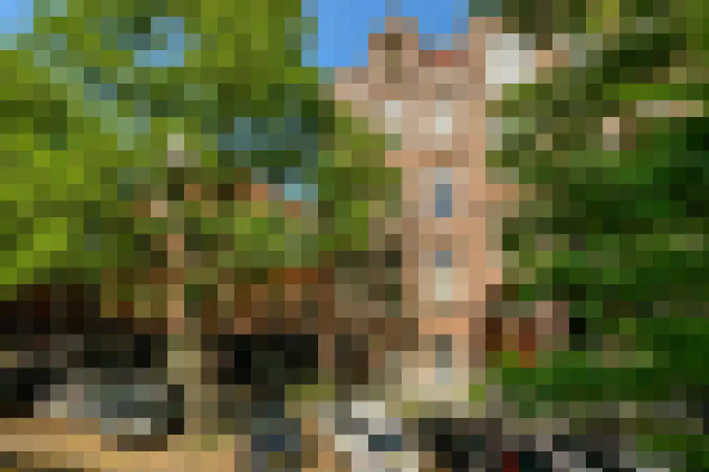 Jacob Obrechtstraat 21 2 Amsterdam thumbnail 16