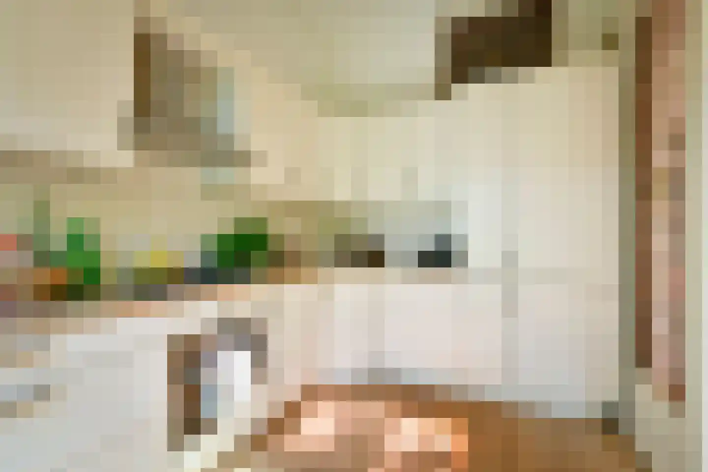 Jacob Obrechtstraat 21 2 Amsterdam thumbnail 19