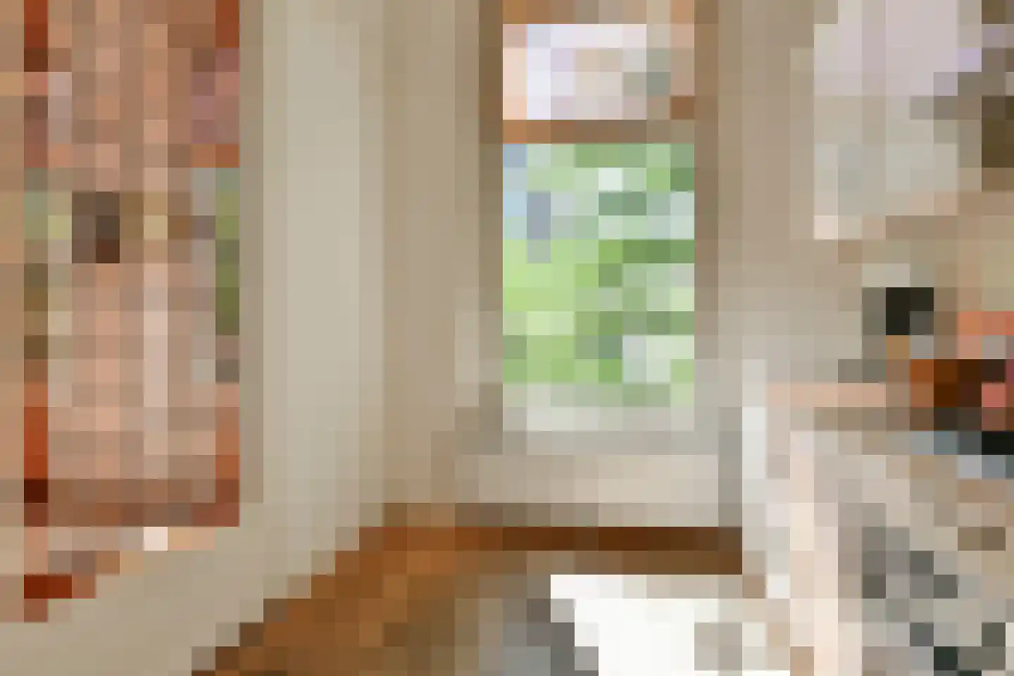 Jacob Obrechtstraat 21 2 Amsterdam thumbnail 20