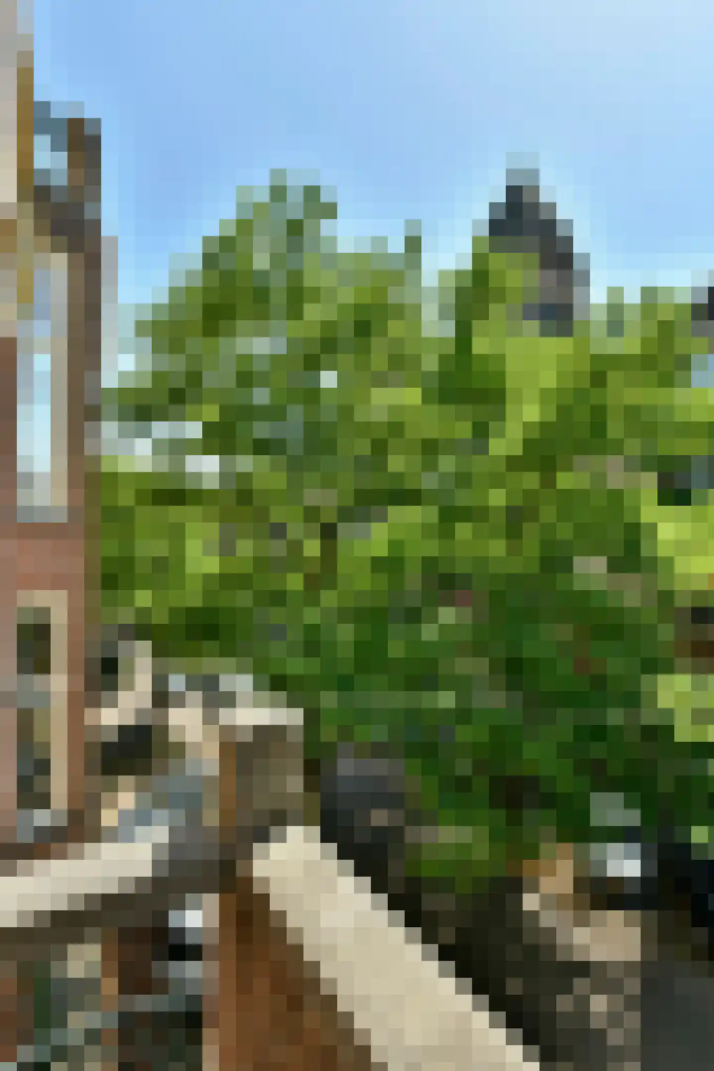 Jacob Obrechtstraat 21 2 Amsterdam thumbnail 23