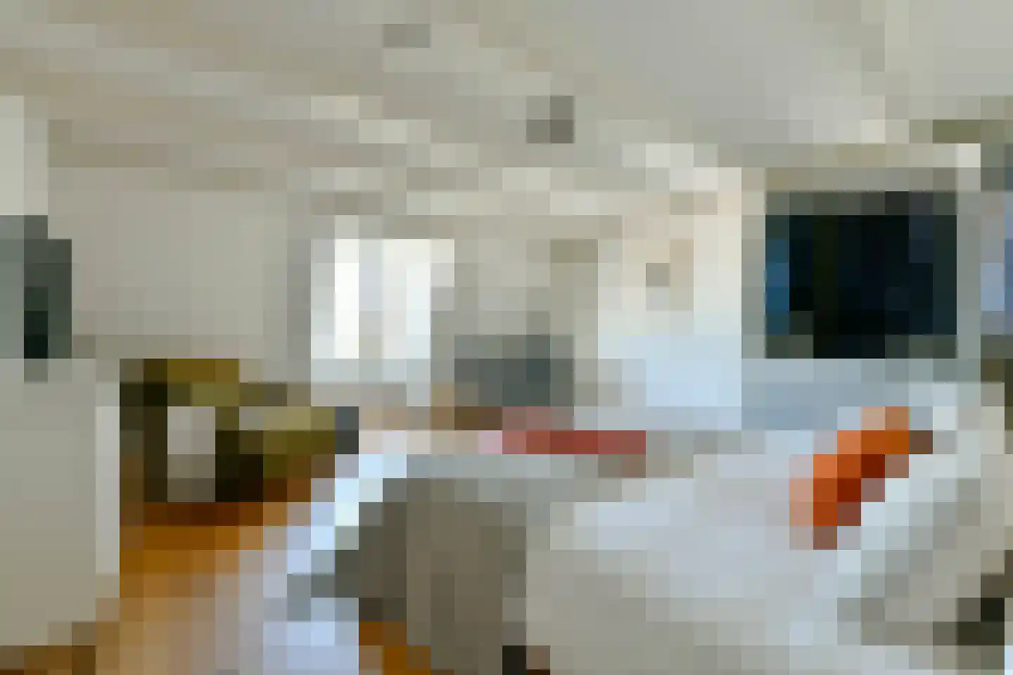 Jacob Obrechtstraat 21 2 Amsterdam thumbnail 28