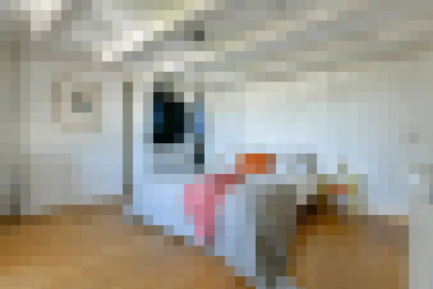 Jacob Obrechtstraat 21 2 Amsterdam thumbnail 29