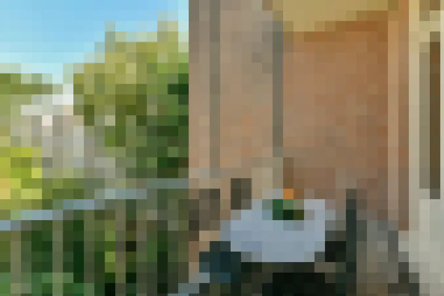 Jacob Obrechtstraat 21 2 Amsterdam thumbnail 8