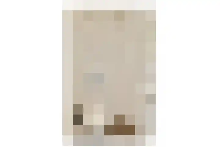 Jacob Obrechtstraat 21 3 Amsterdam thumbnail 18