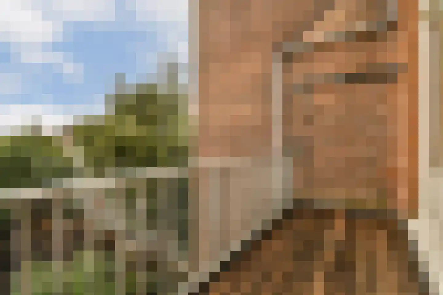 Jacob Obrechtstraat 21 3 Amsterdam thumbnail 18